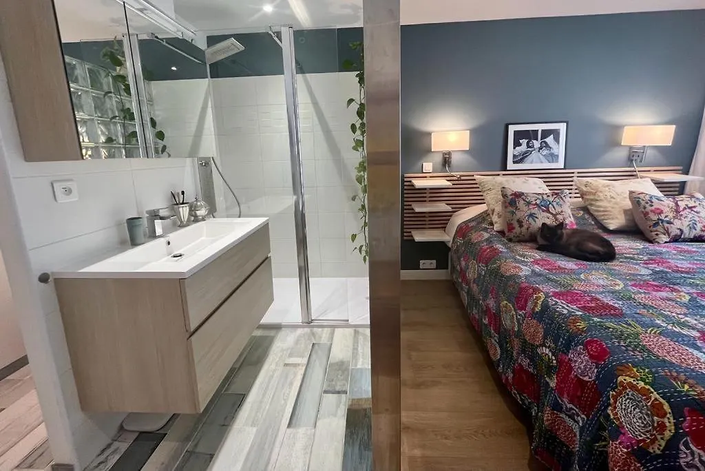 Cannes Passion Apartment