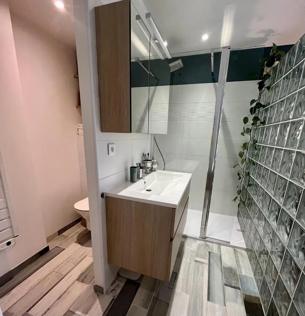 Apartment Cannes Passion France